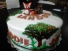 cake18